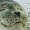 올바른 네일&브로우