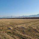 남구-166 이미지