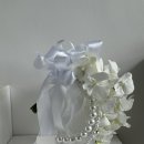 학하동로1 이미지