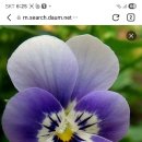 프랑스 자수의 감성 이미지