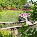 호평태양광발전소 이미지