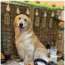 진해유치원 이미지