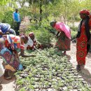 미나목장 이미지