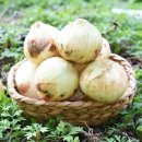 팔도농장 이미지