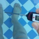 스타마린 이미지