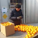 미주냉동 티스토리
