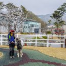 [전북여행]푸른 초원과 말이 있는 풍경으로 봄소풍 떠나볼까요?-한국마사회 장수목장 이미지