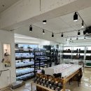 애니멀리움 이미지