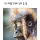 GOOD LIFE DOG | 제112장. FEB2026🇨🇦