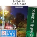 골목시장~새벽시장 횡단보도 | 동대문 새벽시장 주차 꿀팁! 성동공고공영주차장 맛집 추천 2곳