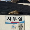 그린빌 10단지 페달로 옆 | 부산도로연수 구포 북부 자동차운전전문학원 6시간 비용 코스 추천 내돈내산 후기