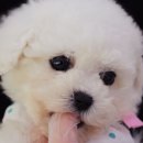 몽글몽글# 이미지