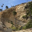 올림픽무도장 이미지