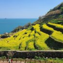 남면로-2 이미지