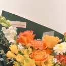 후리지아 이미지