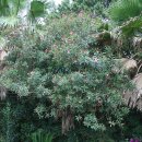 호근동-7 이미지