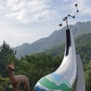 영월군정신건강복지센터 이미지