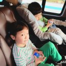 도천강민박 이미지