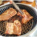 소나무가 있는 풍경 이미지