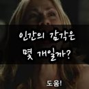 육감 이미지