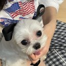 율츄'S 이미지