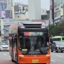 9번청과 이미지