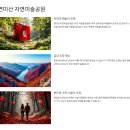 공주 완전 정복: 명소, 맛집, 즐길 거리, 숙소 50선 상세 가이드!