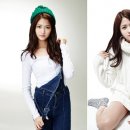 퍼즐엔터테인먼트 SBS연예뉴스