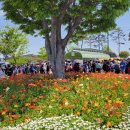 계성고등학교 이미지