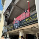 위즈디아 이미지