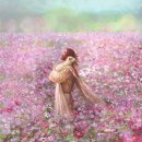 불러라 | 선교사들을 불러라