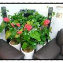 용담한의원 이미지