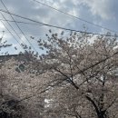 금방이야 | 홍대 야외 방탈출 추천｜비밀의화원 합정 기다려 금방갈게 내돈내산 후기