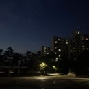 물꽃공원 다목적구장 | 8/12 하늘 보러 간 건지 공원 보러 간 건지 ☁️ 모란공원 낮밤 투어