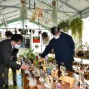 상덕마을 이미지