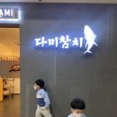 다미참치 이미지