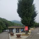 곡성 신기 구간 | 8월 첫날 폭염 날씨에 의외로 시원했던 여름 주말 마니산 안개 등산 후기