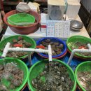 해창진료소 | 먹고 마시고 뛰는 일상