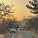 상진목장 이미지