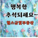 풍성한 공인중개사사무소 이미지