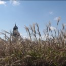 태하등대 이미지