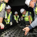 서울시설공단(서울추모공원) 연합뉴스