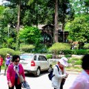 순천만국가정원 습지센터 야외공연장 이미지