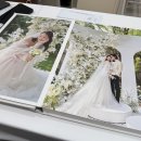 천안여상로 | [천안웨딩] ❷. 다이렉트웨딩 천안 2지사 홍스웨딩 당일계약 후기(김혜은 플래너) +견적공유(댓글)