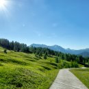 신월앞길 이미지