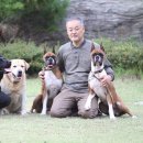 히든밸리켄넬 이미지