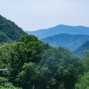 청솔목장 이미지