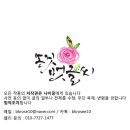 캘리그래피(Ⅱ) 이미지