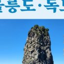 팔공여행사