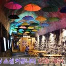 우산수영장카페